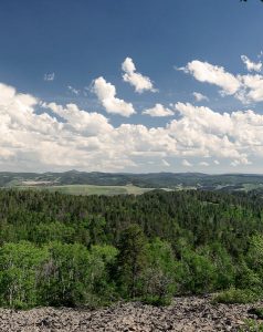 Black Hills National Forest covers all the way to where the land meets the sky.