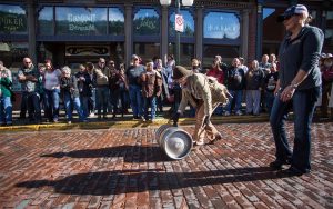 Oktoberfest Keg Competitions