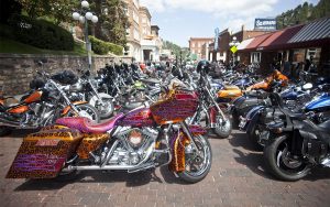 Sturgis Bike Lineup