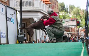Wild Bill Days DockDogs Competition participant and owner