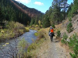 Andy's Trail Rides