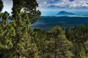 View of Black Hills National Forest