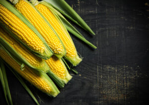 cornfest_web_mobile